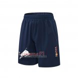 Pantalones Red Bull Racing f1 Azul Oscuro