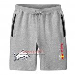 Pantalones Red Bull Racing F1 Gris